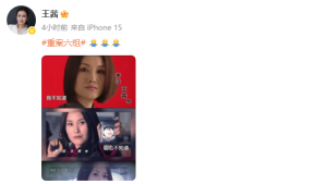 《重案六组》将要翻拍?“季洁”扮演者王茜回应